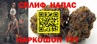 ALPHA PVP Пугачёв