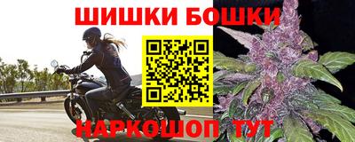 ALPHA PVP Пугачёв