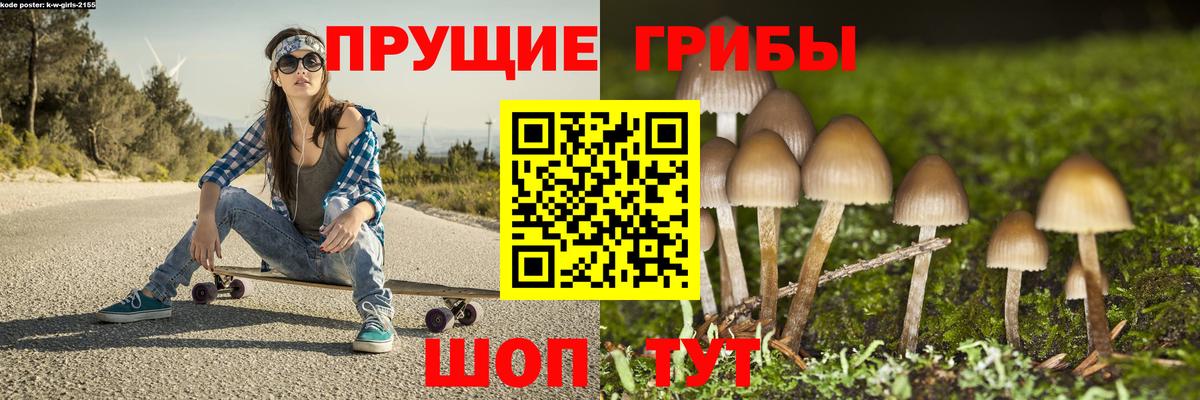 Галлюциногенные грибы Psilocybine cubensis  Галлюциногенные грибы Psilocybe  Скопин  Вход с VPN 